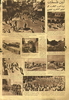 1936 - Palestine revolt images