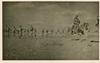 1936-1938 - Palestinian fighters on parade